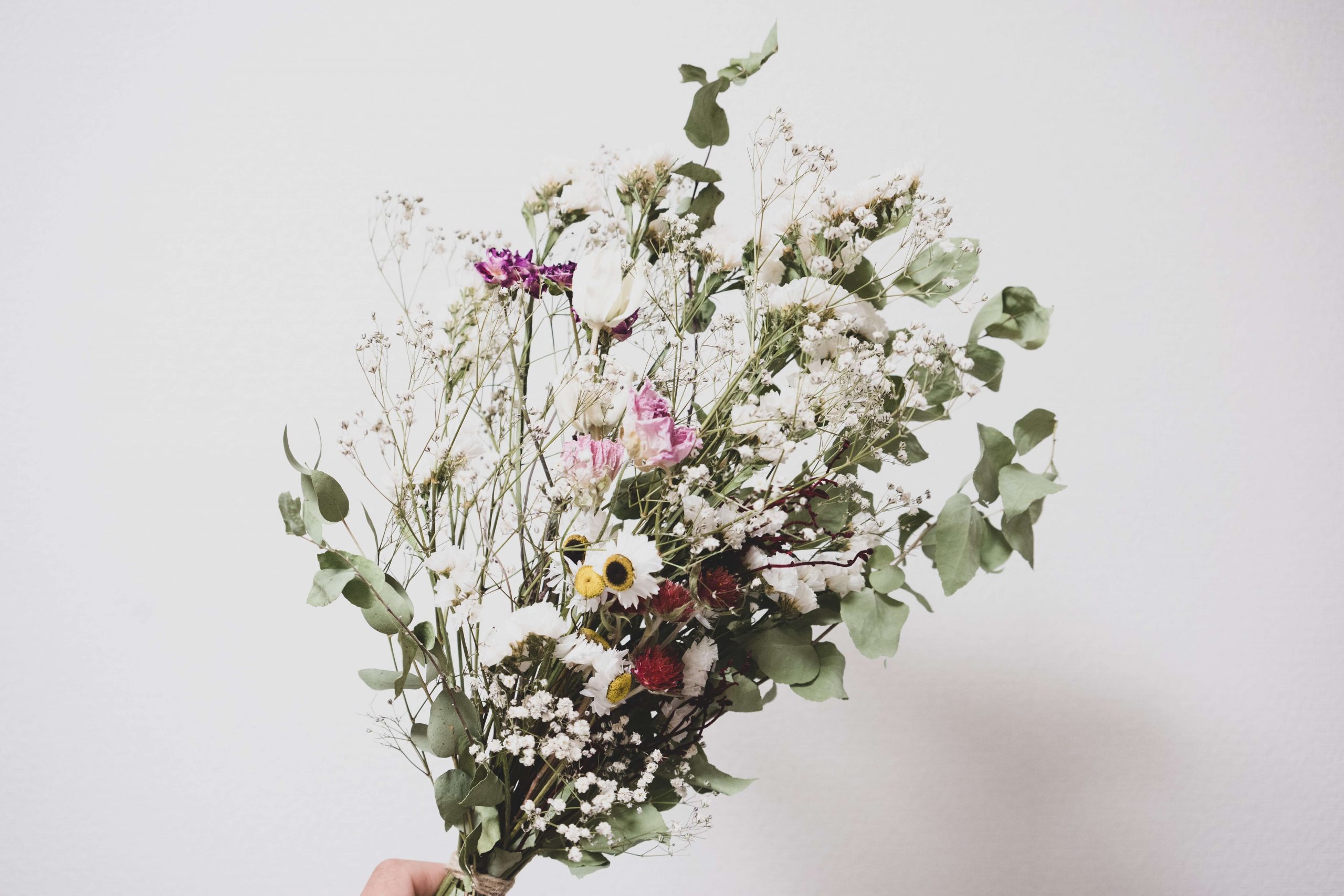 How to dry flowers? Our proven methods